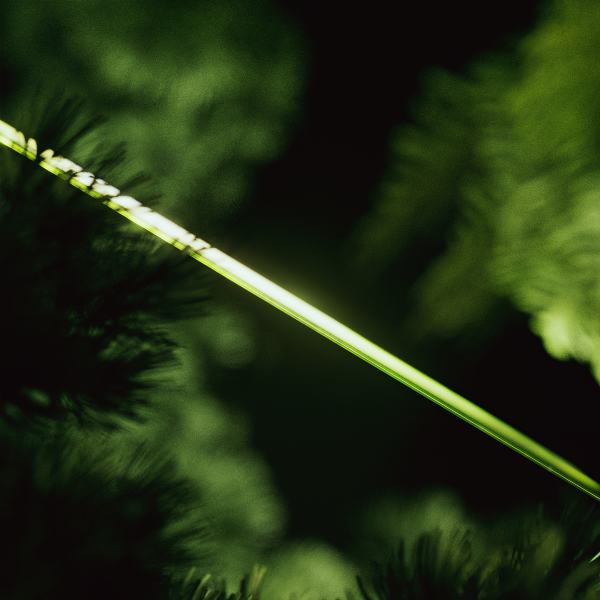 Midori Sojourn Glasspad